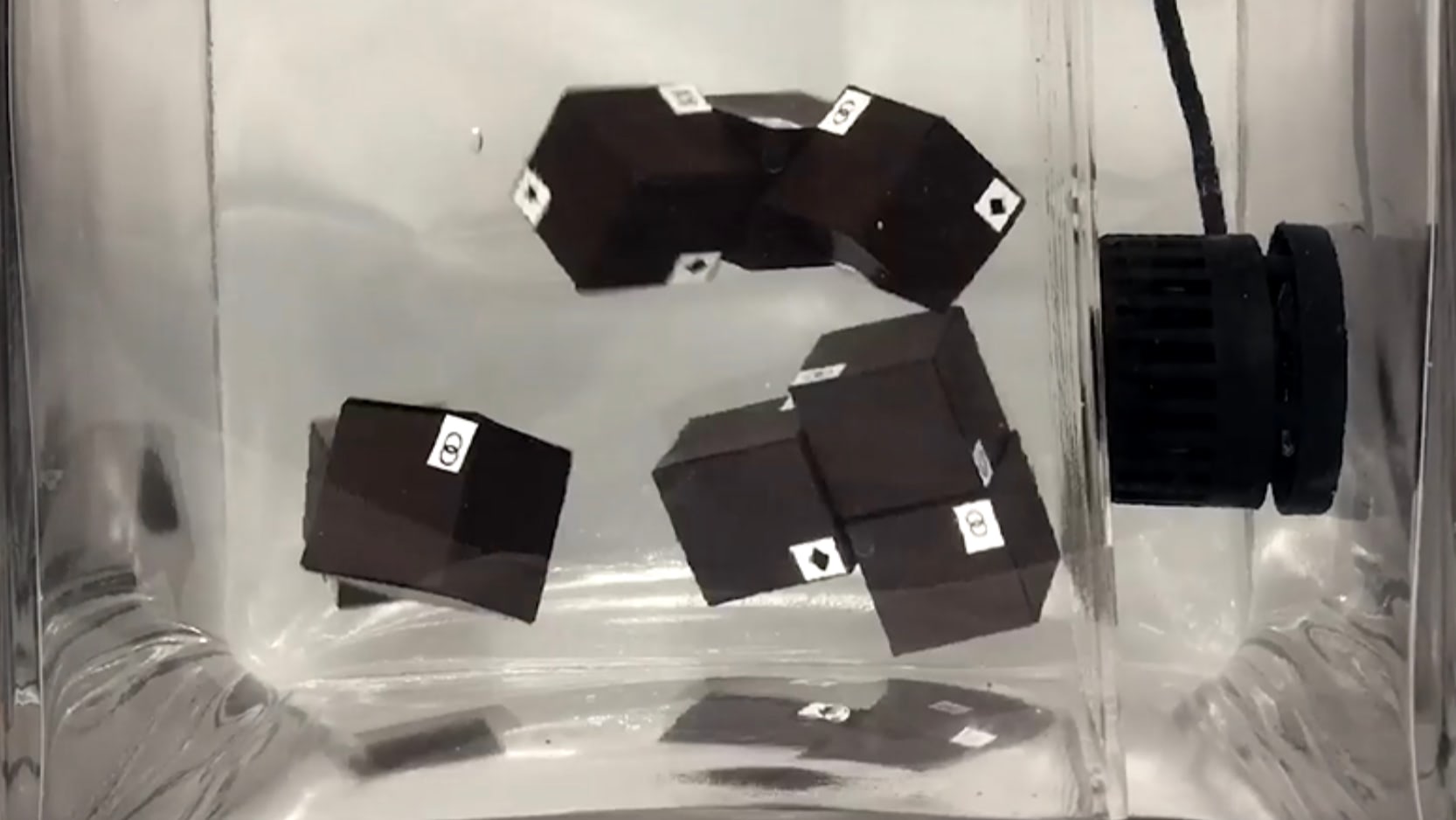 selective-self-assembly project video preview